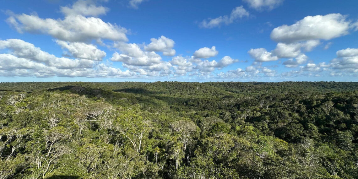 Reconhecida pela Unesco, RPPN Lontra completa 30 anos como refúgio para espécies ameaçadas da Mata Atlântica na Bahia