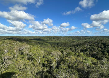 Reconhecida pela Unesco, RPPN Lontra completa 30 anos como refúgio para espécies ameaçadas da Mata Atlântica na Bahia