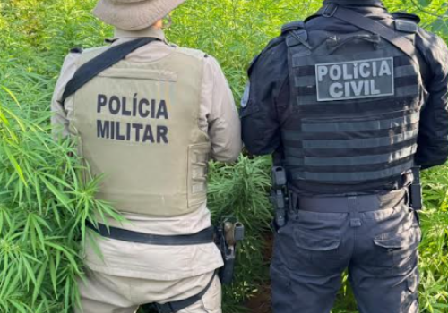 Fotos: Divulgação SSP