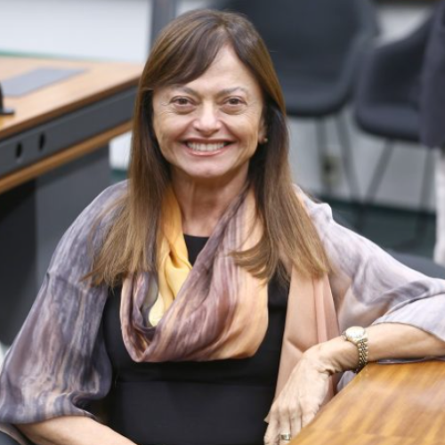 Foto: Vinicius Loures/Câmara dos Deputados